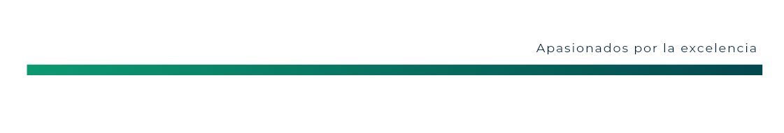 iGeoz Logo